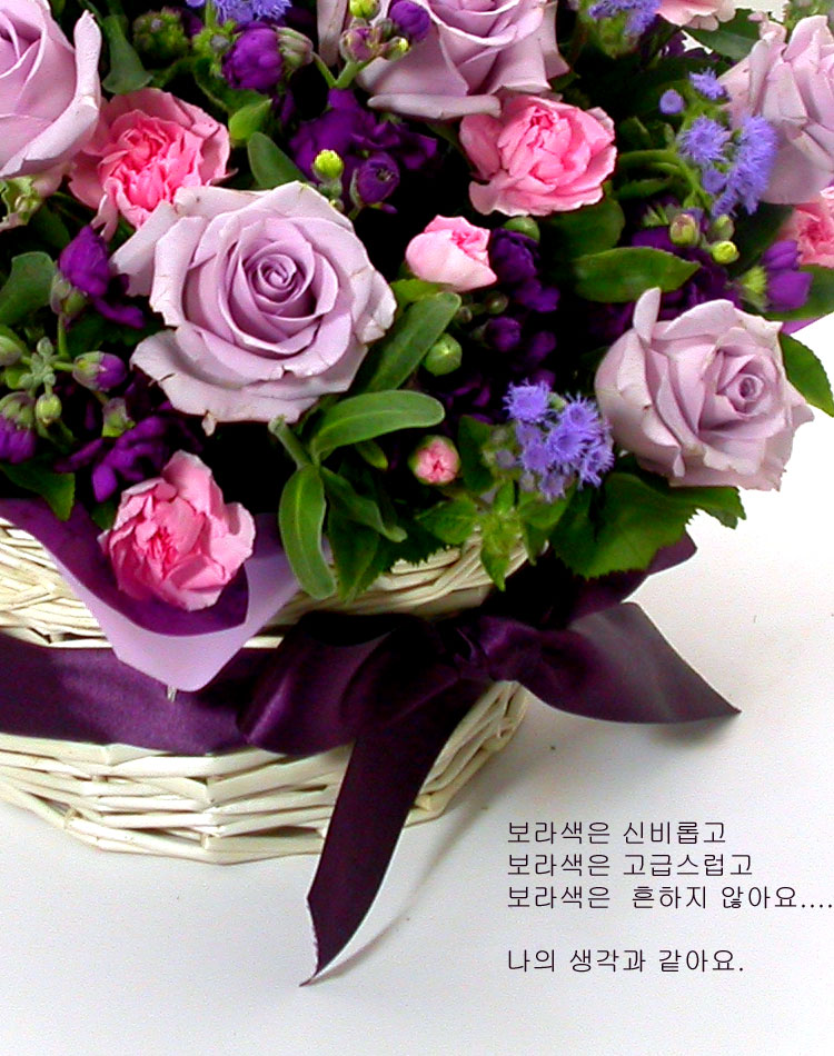 오션송,보라장미잎이 약간 찢어진듯 보여지는 것도 피면서 자연스레 진행되는 과정입니다.