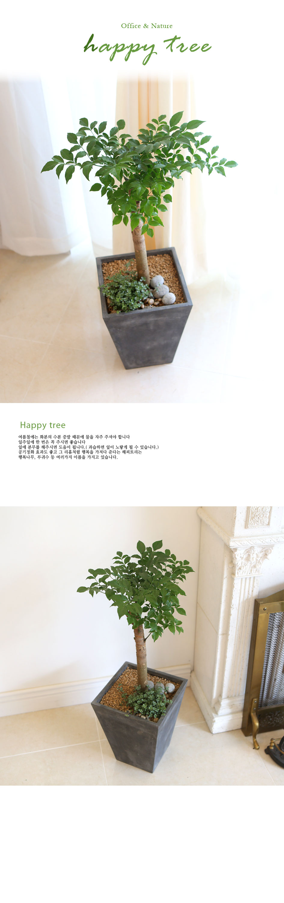 Office&Nature - FRP화분의 해피트리小