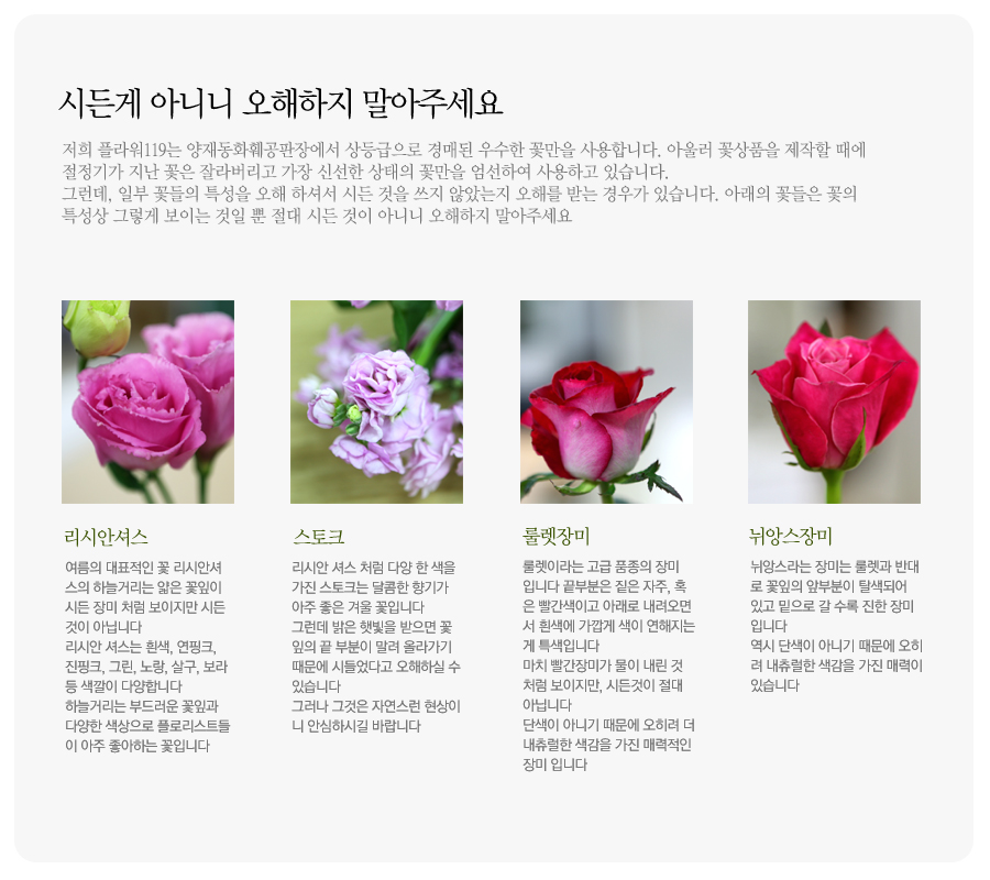 <b>Be my love - lover boy</b>
차분하고 고상한 이미지를 가진 연보라톤의 꽃바구니입니다
잎의 짙은 초록색과 밝고 연한 꽃의 연보라색이 대조를 이루고 진한 보라색이 차분함을 드러냅니다