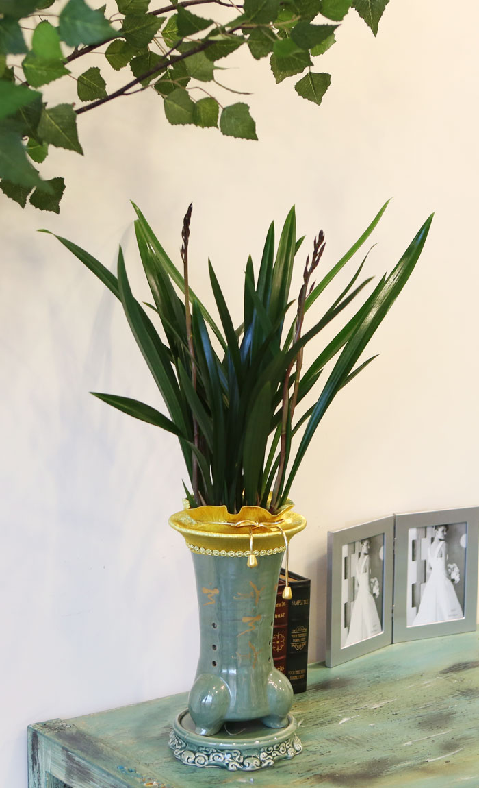 승진, 영전하신 분들께 동양란을 선물하셔서 더욱 좋은 의미의 축하선물이 되시길 기원합니다.