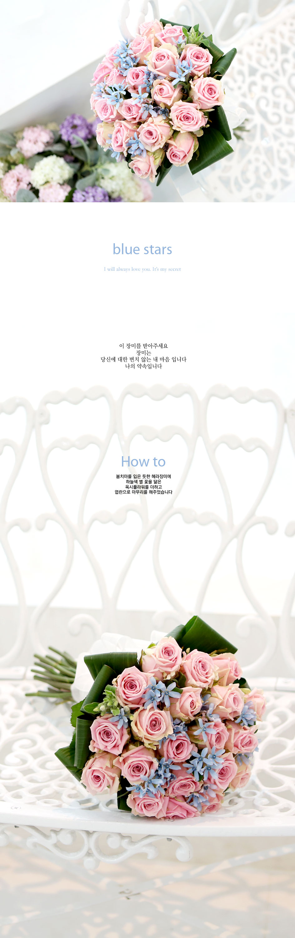 장미의 맹세 - blue stars --- 봄,겨울엔 블루옥시 대신 다른꽃으로 대체됩니다