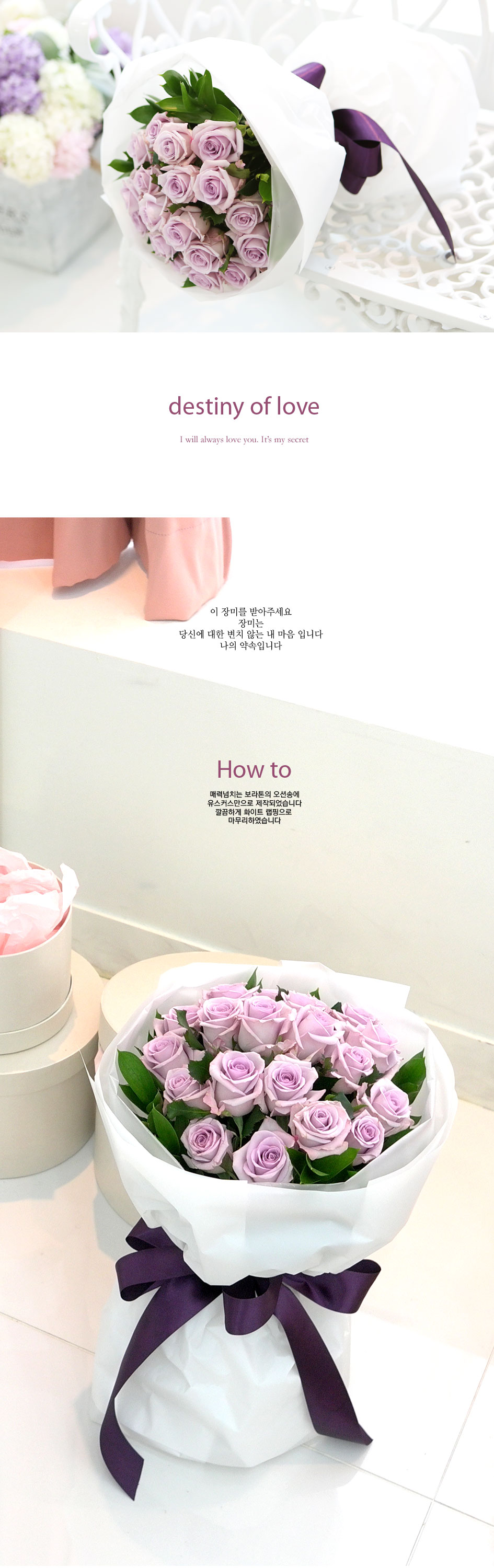 장미의 맹세 - destiny of love