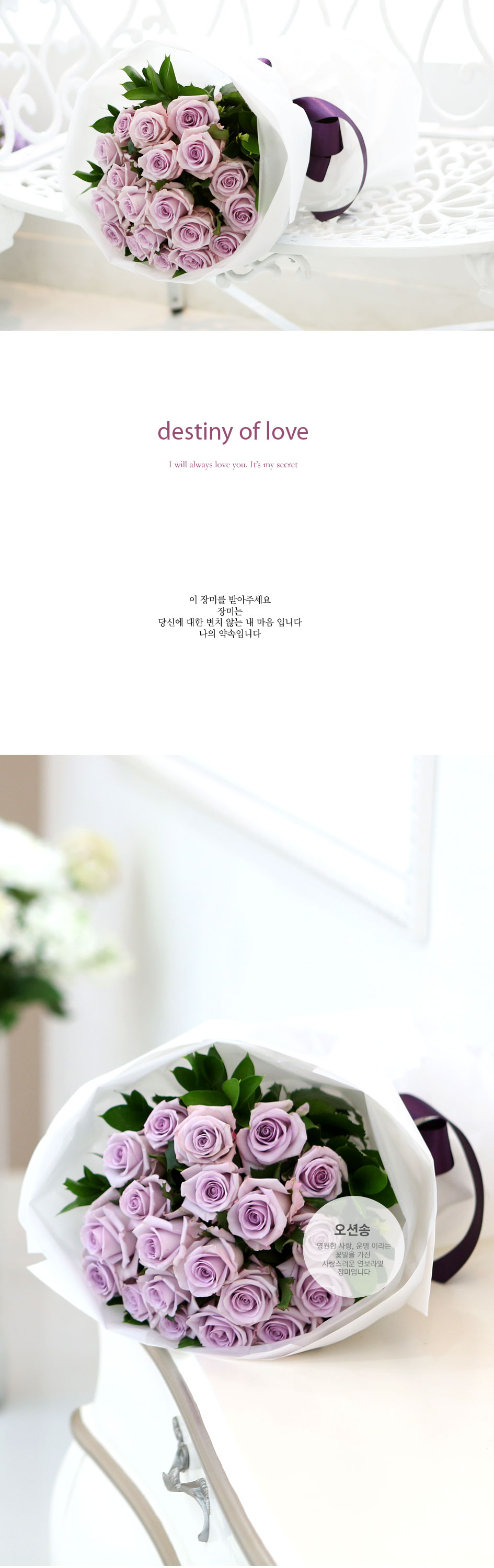 장미의 맹세 - destiny of love