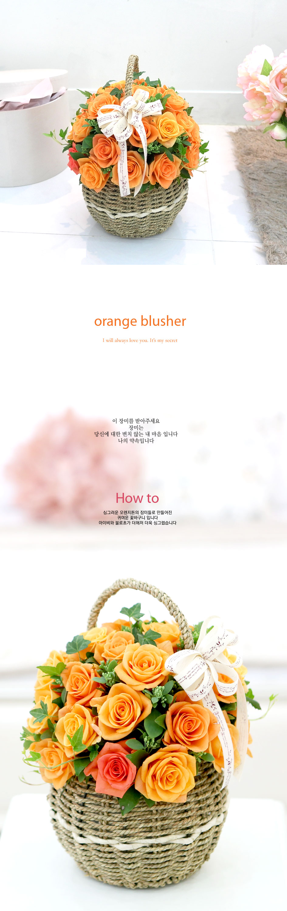 장미의 맹세 - orange blusher