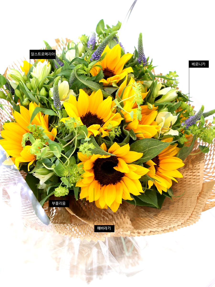 sunflower - Sunflower Bouquet