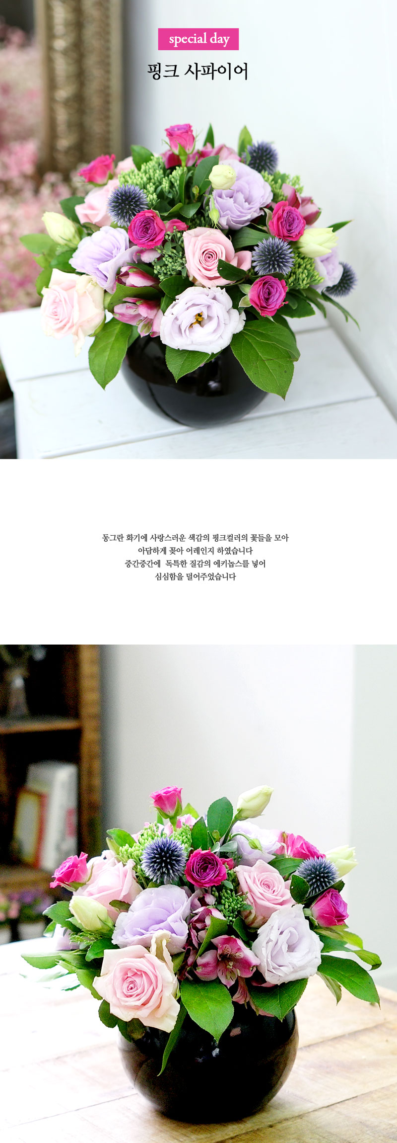 special day-핑크 사파이어