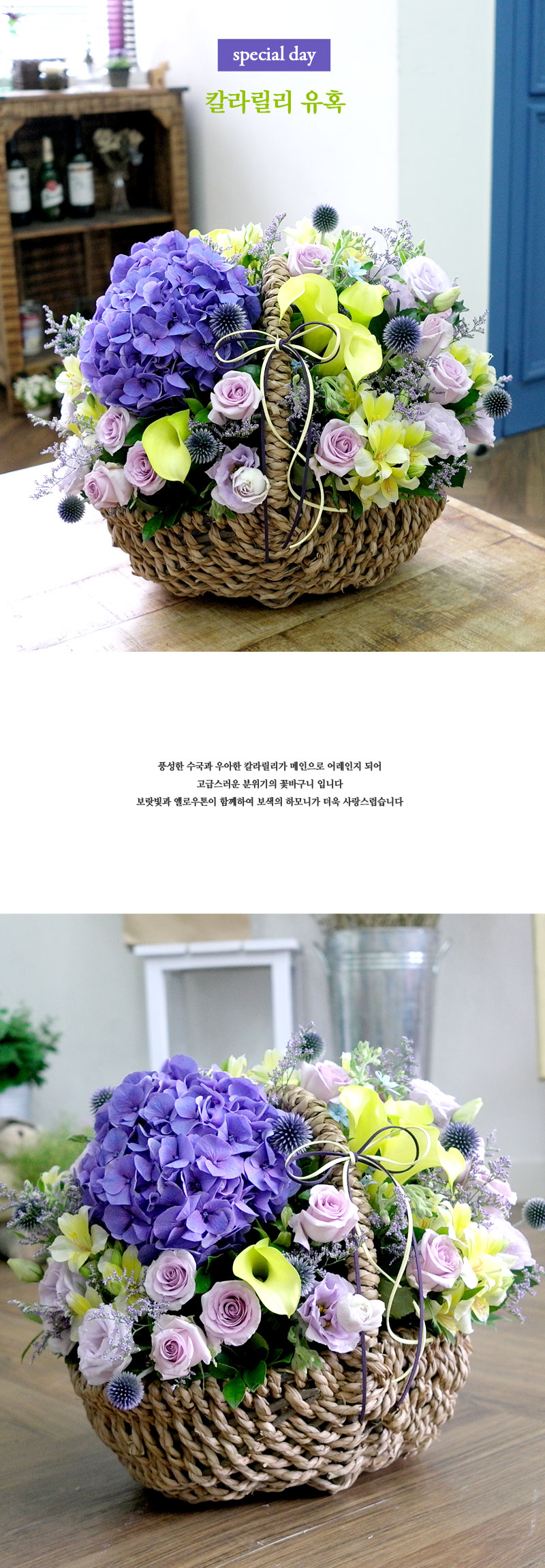 수국은 물을 아주 좋아하는 꽃이에요. 물을 충분히 먹으면 오랫동안 보실 수 있습니다.
반면 물이 부족하면 한순간에 힘없이 주저앉을 수도 있어요~
그러므로, 오랫동안 꽃을 보시려면, 바구니에 신선한 물을 계속 공급해주시고,
시든 꽃은 물을 오염시키므로, 바로바로 제거해 주시는것이 좋습니다.