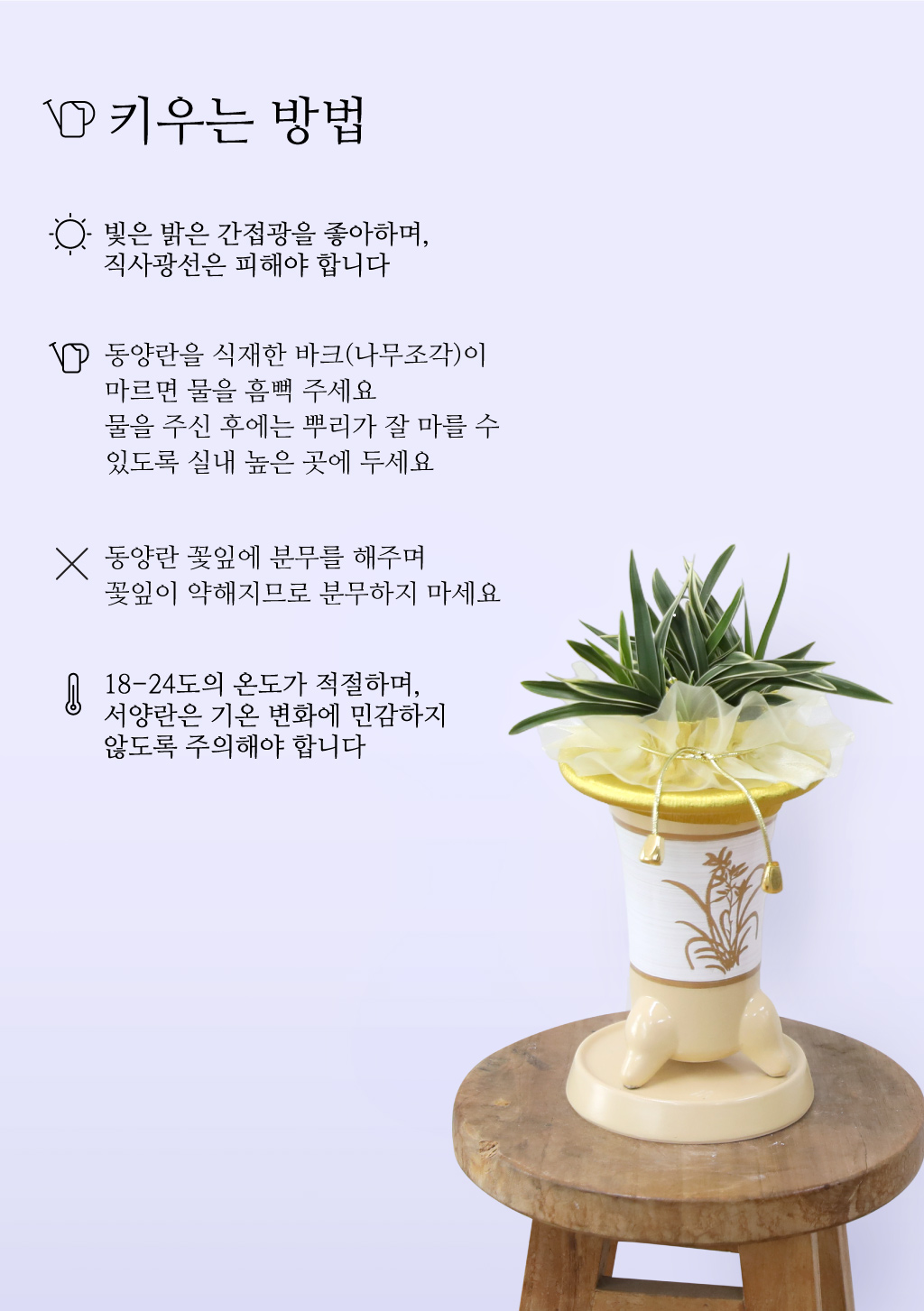 성공과 번영을 기원하는, 고급 동양란 대국