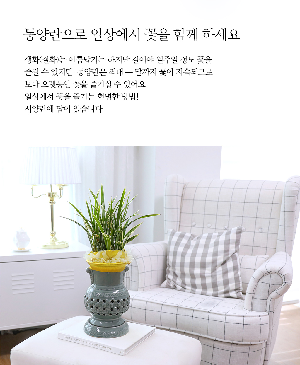 우아함과 품격의 상징, 동양란 천학금
