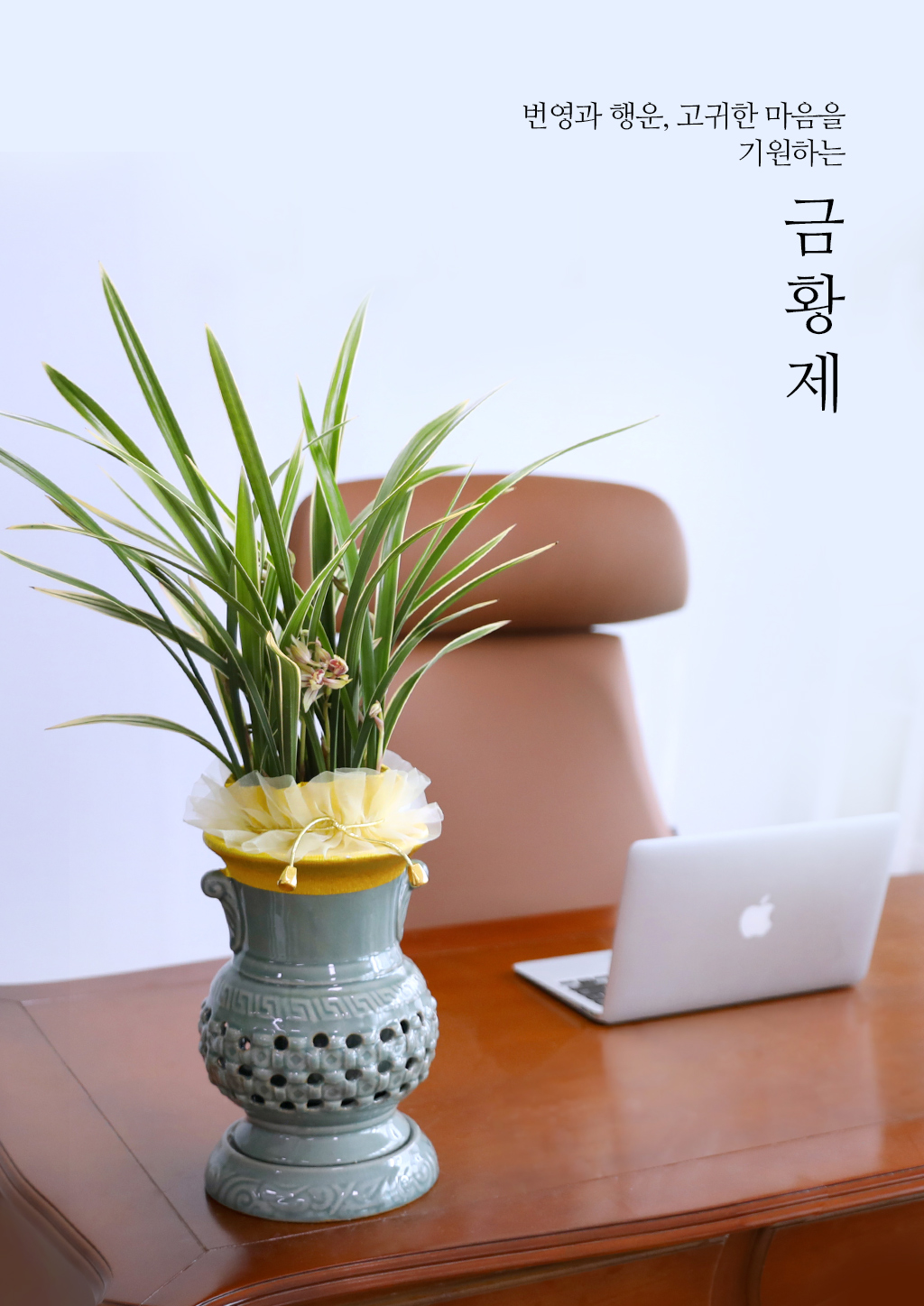 성공과 번영을 기원하는 황금빛 선물, 동양란 금황제