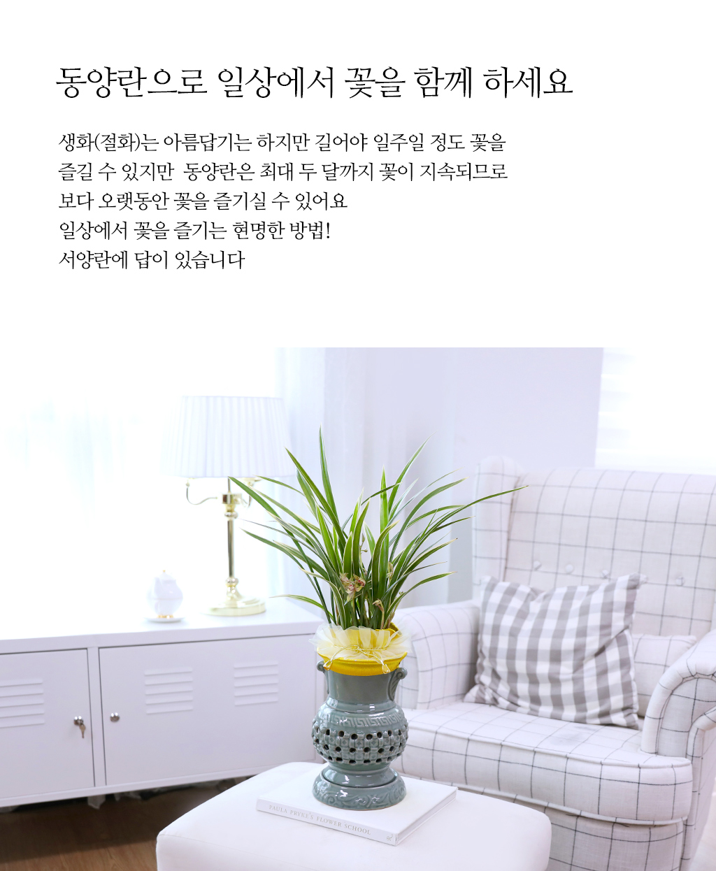 성공과 번영을 기원하는 황금빛 선물, 동양란 금황제