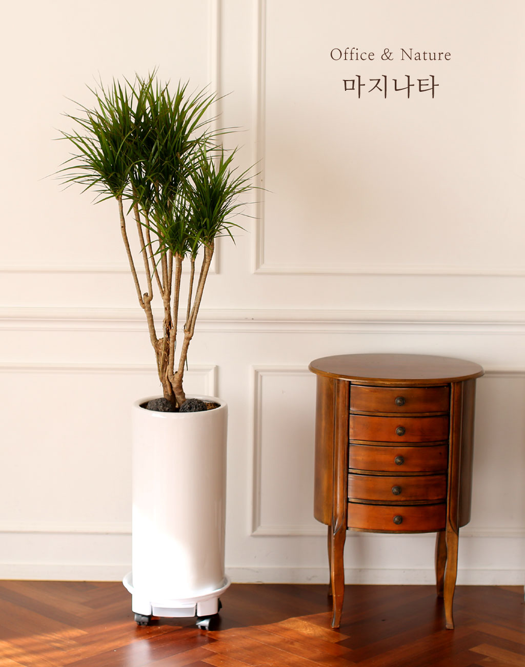 Office & Nature 마지타나 (화기가 변경될 수 있습니다.)