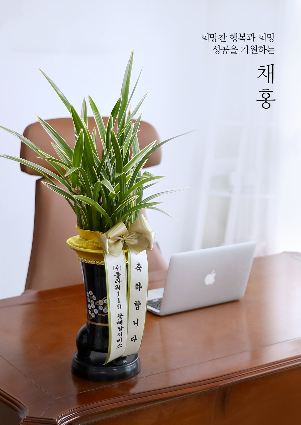 행운과 번영을 상징하는 동양란 채홍