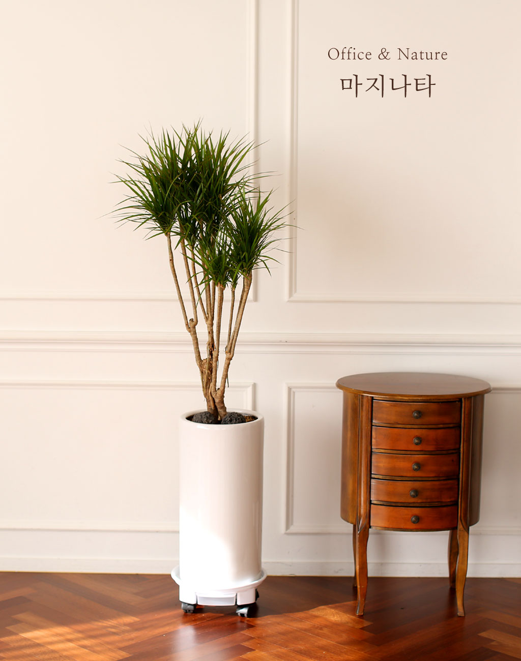 Office & Nature 마지타나 (화기가 변경될 수 있습니다.)