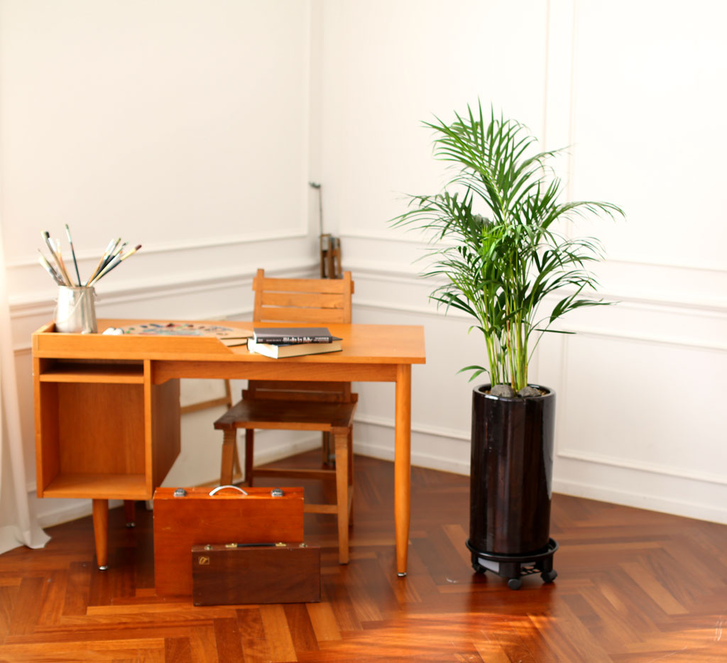 Office & Nature 아레카야자(중)