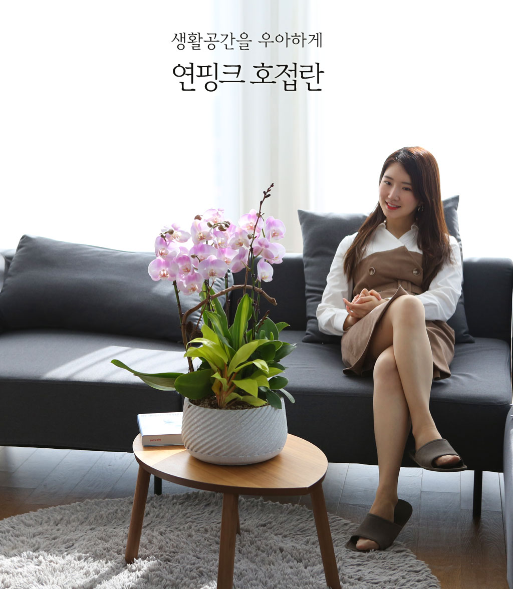 실내에 꽃이 있으면 매일 반복되는 일상이 조금은 다르게 느껴집니다