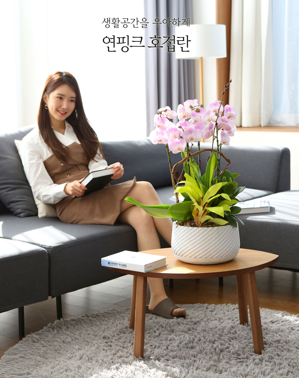 생활공간을 우아하게 - 연핑크 호접란