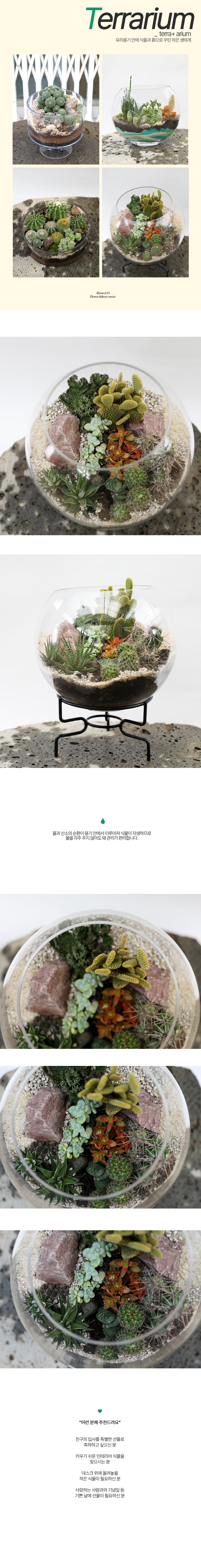 유리병 안에 작은 정원 - 어항볼 모듬다육정원 특대(다리포함)