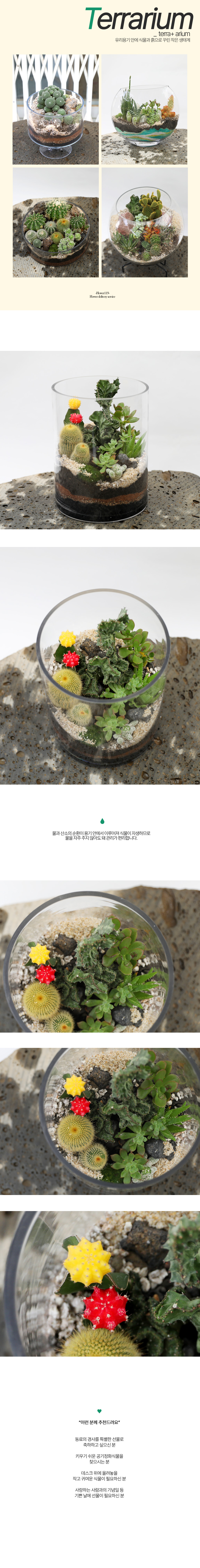 유리병 안에 작은 정원 - 원통형 다육정원 대형