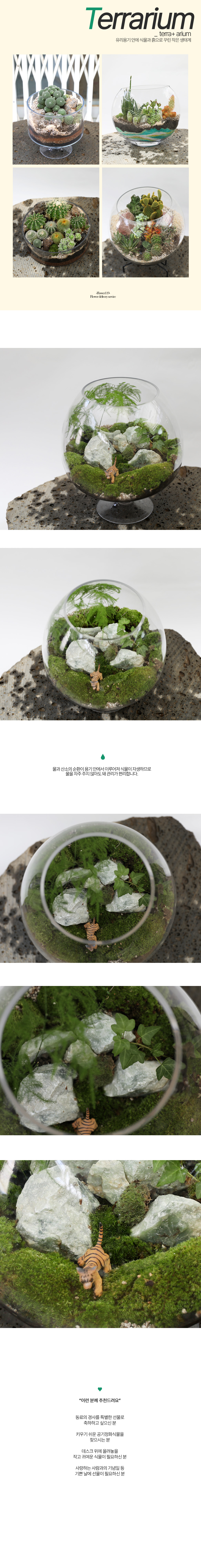 유리병 안에 작은 정원 - 와인잔안에 내추럴이끼정원 대형