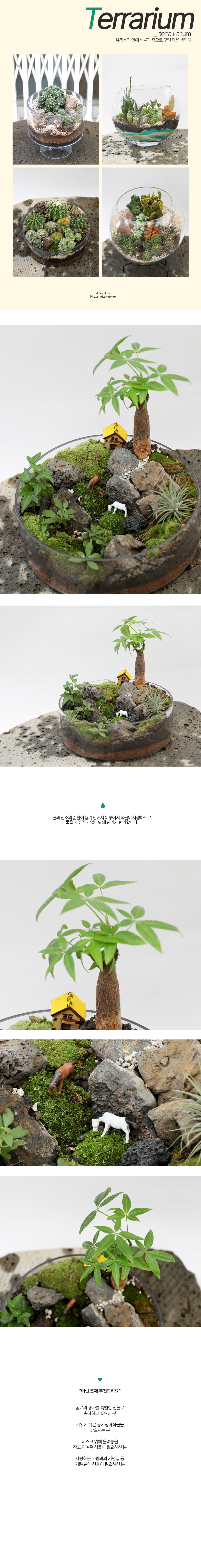 유리병 안에 작은 정원 - 원형유리 자유로운이끼 테라리움 대형