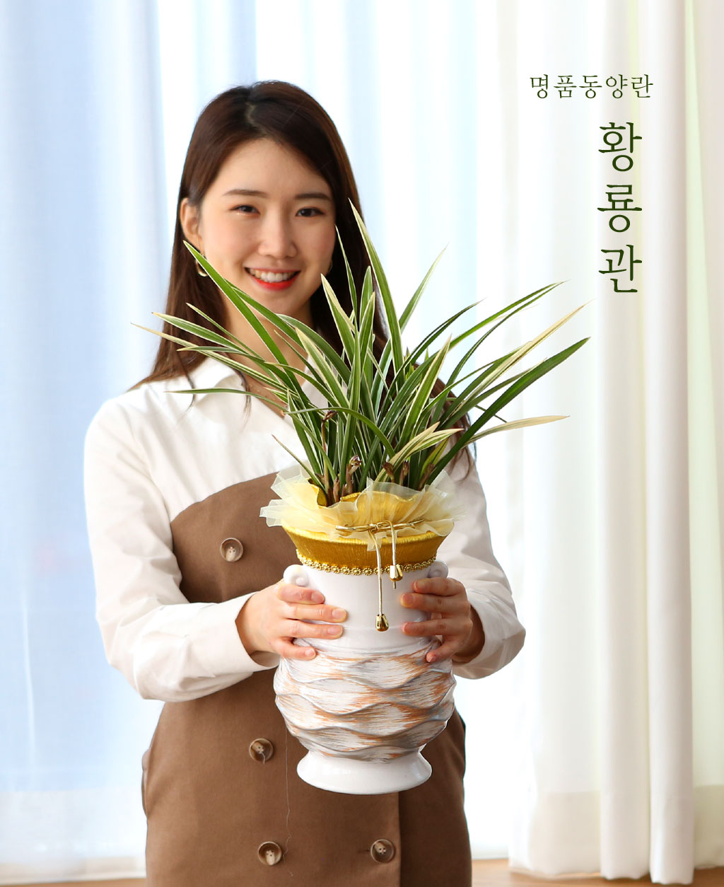 엽(동양란 잎은 엽이라 부릅니다) 끝에 황금색 무늬가 있는 고급 동양란 황룡관입니다.
기품이 느껴지는 청자화분에 심어서 고급스럽습니다. 승진축하 선물로 추천합니다.