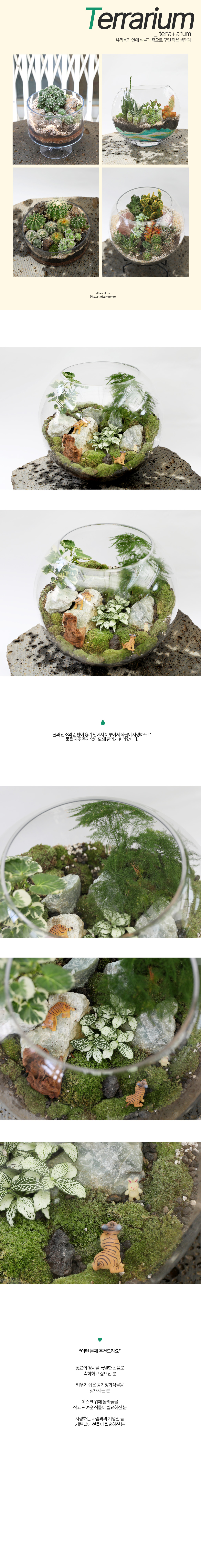 나만의 포레스트 - 큰어항 특대(이끼테라리움)