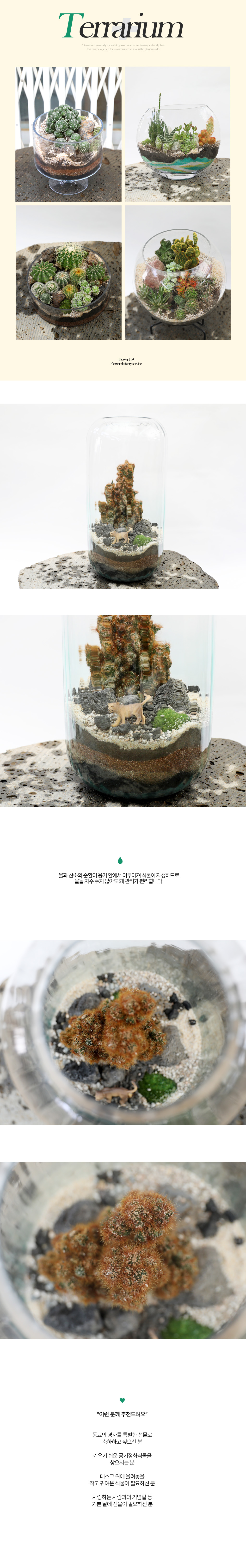 유리병 안에 작은 정원 - 결어항 테라리움 대형(금사자철화)