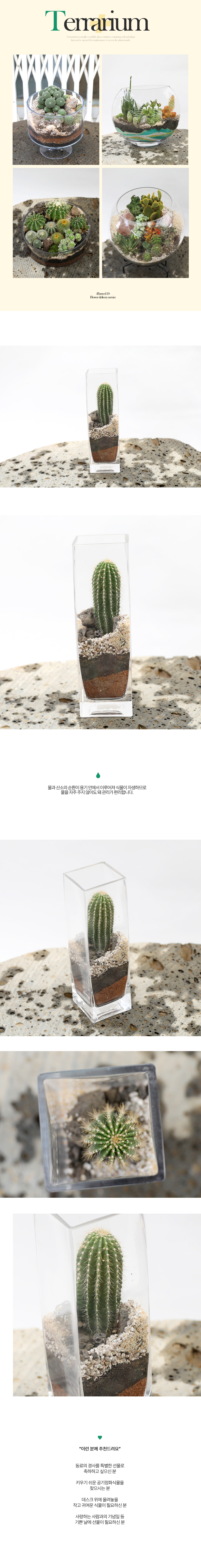 유리병 안에 작은 정원 - 선인장 테라리움유리사각(대봉용)