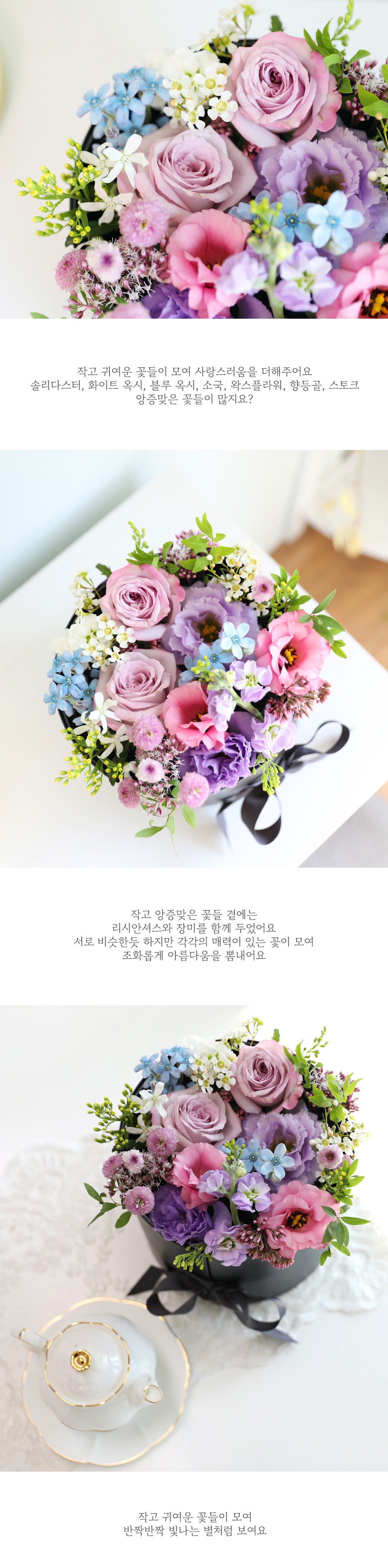 반짝반짝 빛나는 별의 조각들