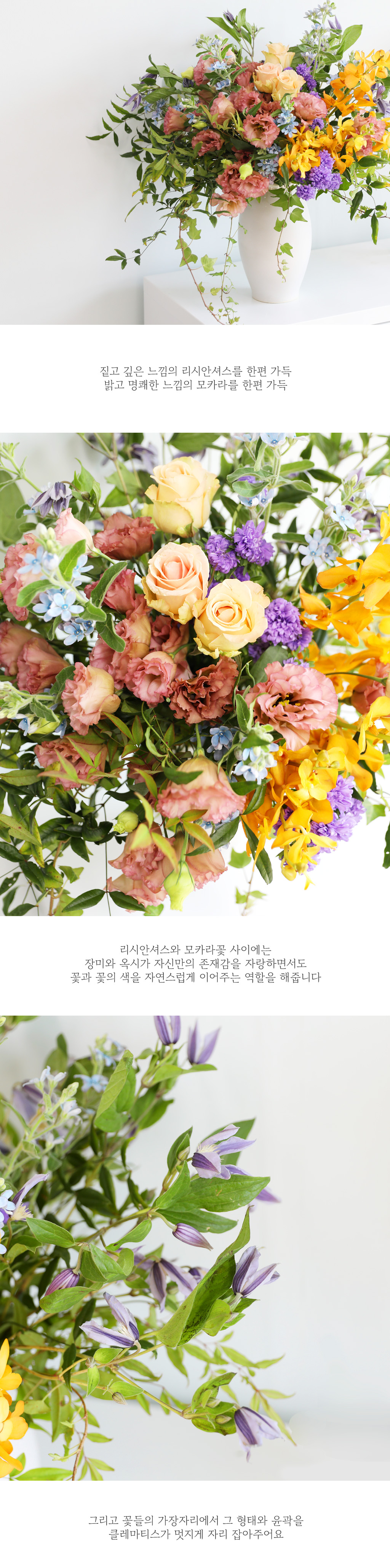 그 계절의 바람 - 꽃나무 아래에서