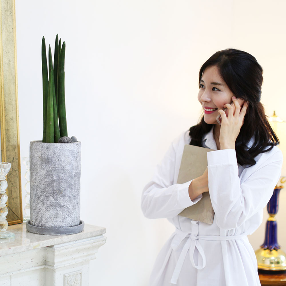 실내에 딱 좋은 사이즈 관엽화분 - 관리가 좋은 모던한 스튜키 (中)