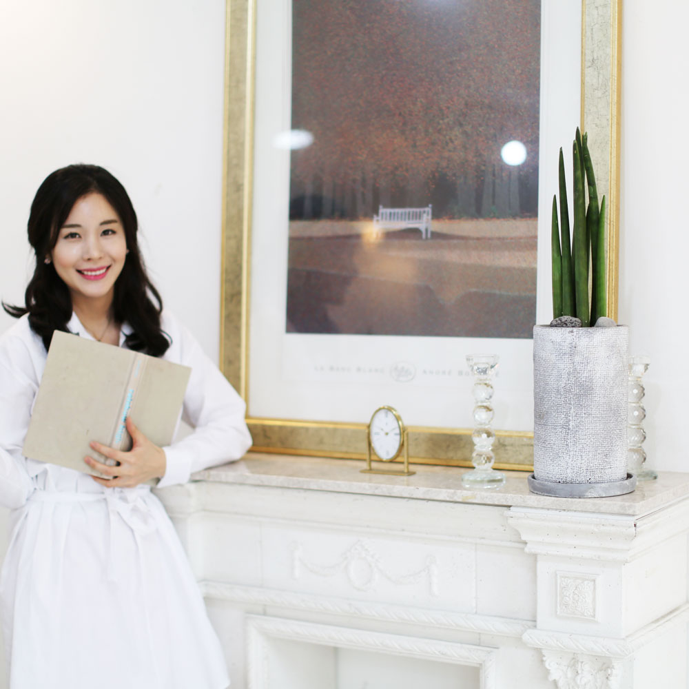 실내에 딱 좋은 사이즈 관엽화분 - 관리가 좋은 모던한 스튜키 (中)