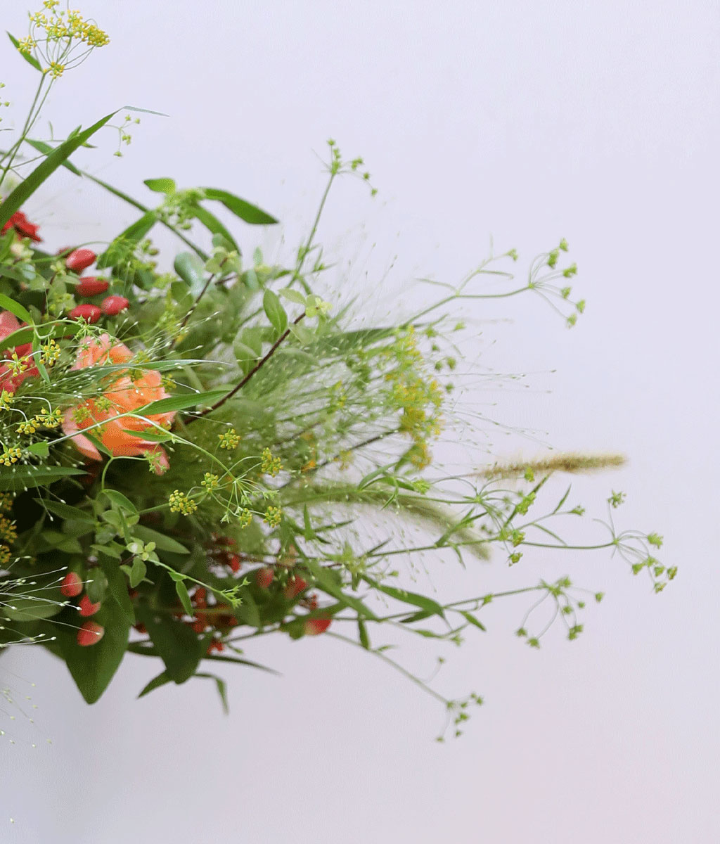 Harvest Bloom 가을꽃밭