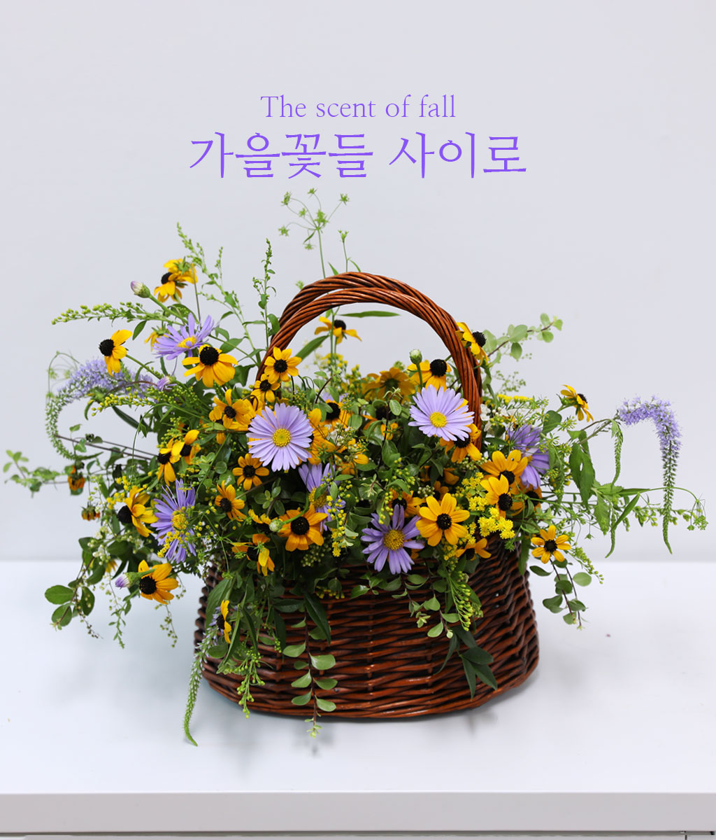 싱그러운 그린 소재가 가장 아래에 잔잔하게 깔리고 풍성함을 도와주는 그린소재들이 살랑살랑
꽃바구니의 전체적인 외곽선을 그립니다.