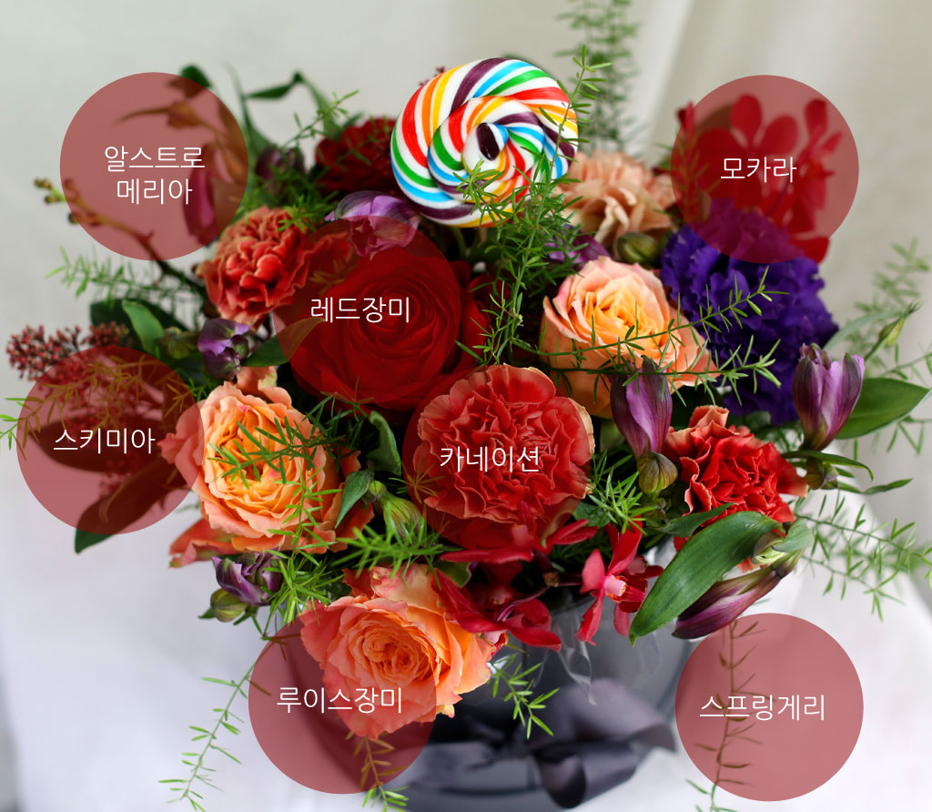 레드장미, 카네이션, 알스트로메리아, 스키미아, 모카라, 루이스장미, 스프링게리
다양한 소재들이 고급스러운 더욱 특별한 느낌을 줍니다.