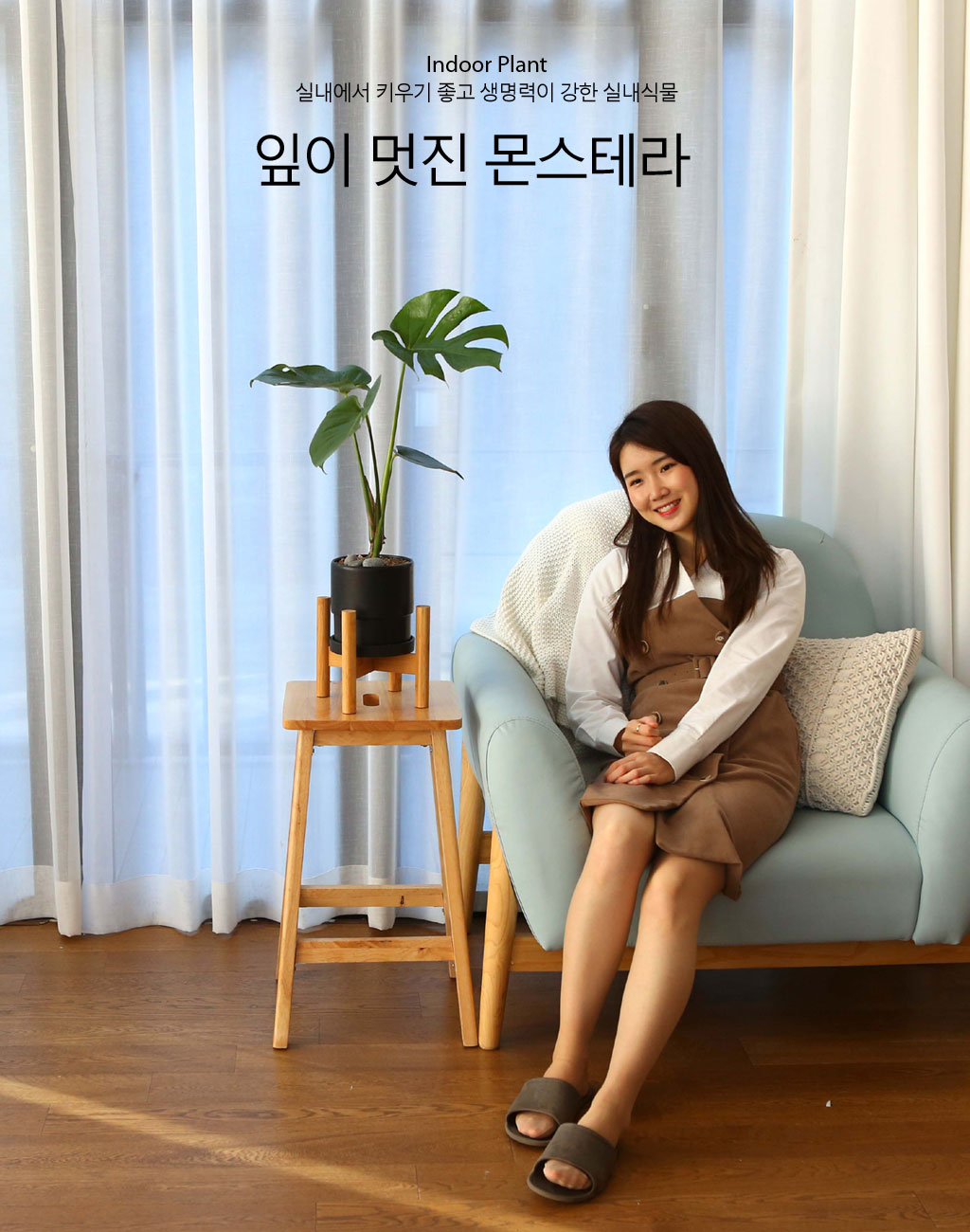 실내에서 키우기 좋고 생명력이 강한 식물 - 아름다운 몬스테리아
