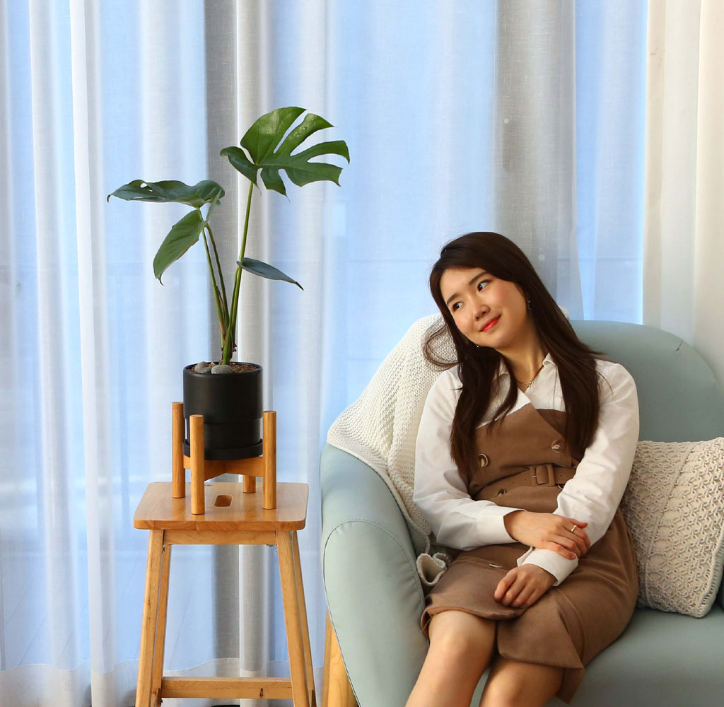 실내에서 키우기 좋고 생명력이 강한 식물 - 아름다운 몬스테리아
