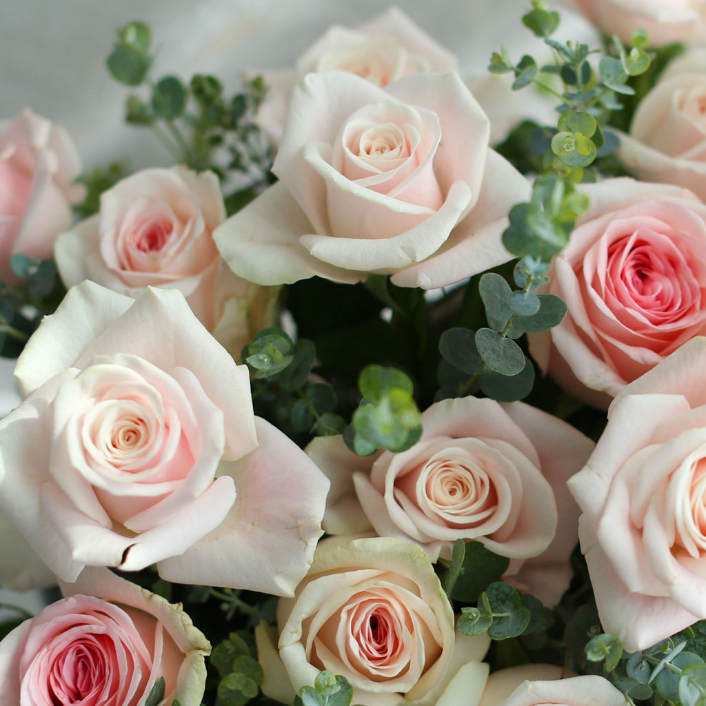 {서울광역시}Roseday - 장미정원으로 오세요