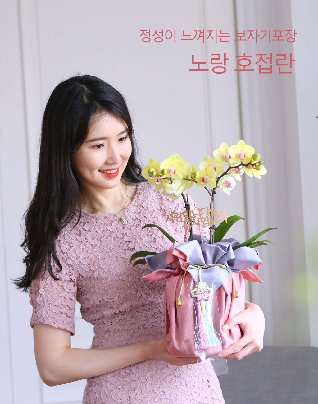 화려하고 기품 있는 서양란,
승진, 영전, 개업 등 축하의 마음을 서양란으로 전달하세요.
고급스러운 전통 문양의 핑크색 보자기로 공경과 감사, 축하의 마음을 담았습니다.