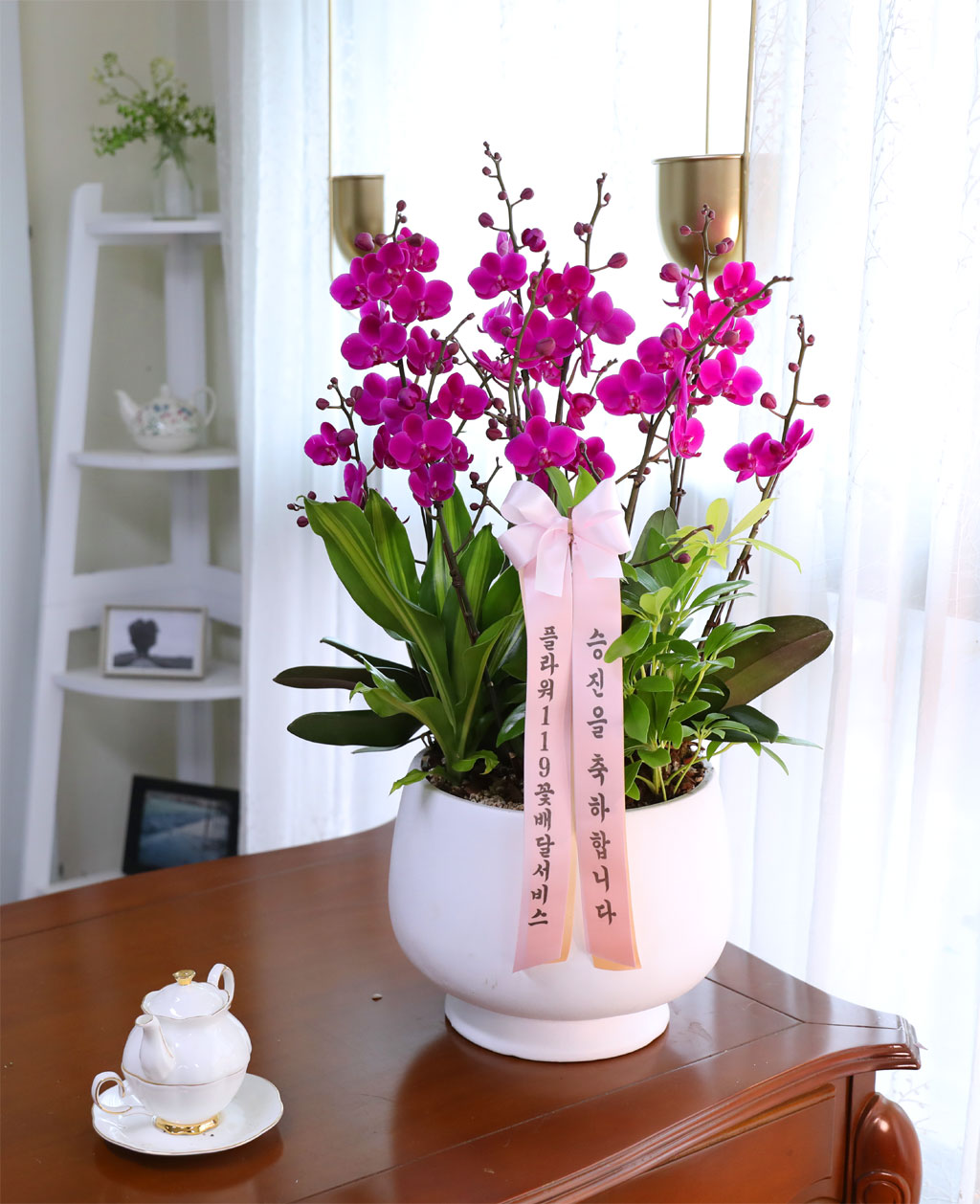 Office & Nature 화려한 만천홍