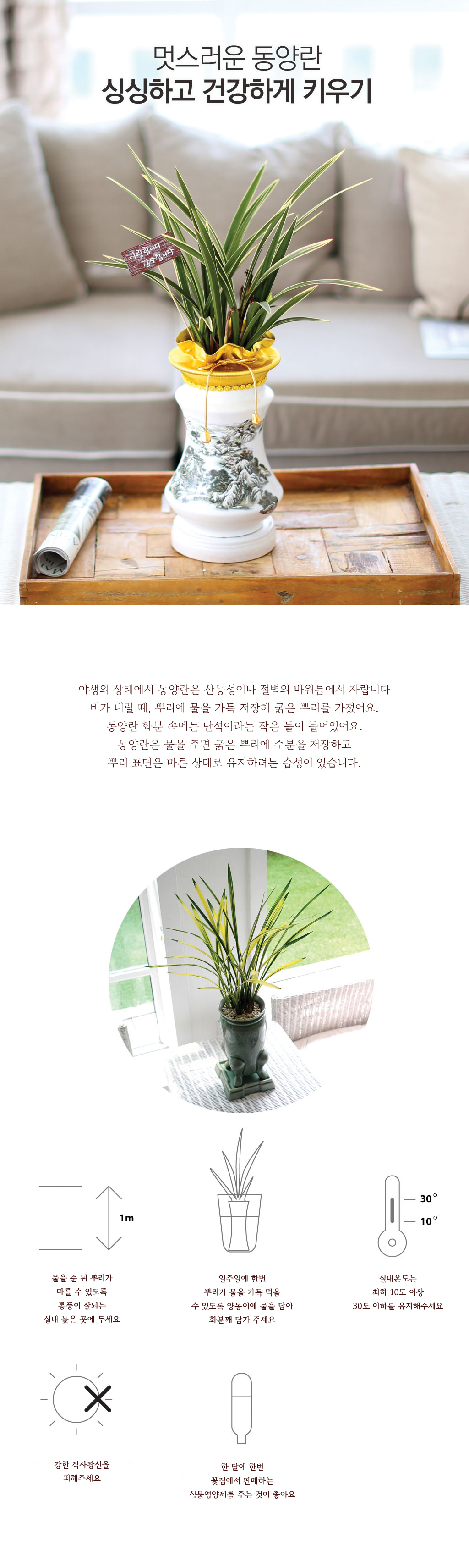 가무일진(加茂日進)