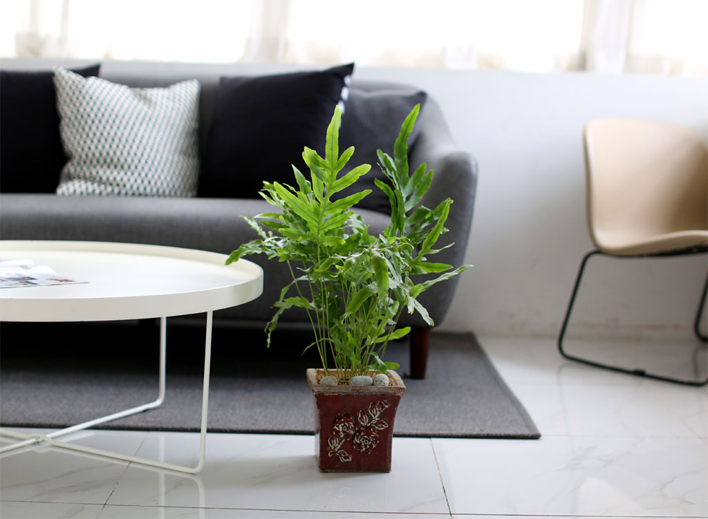 장미문양이 양각된 테라코타화기입니다