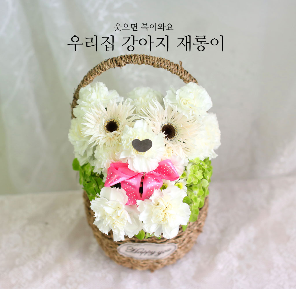 웃으면 복이와요 - 우리집 강아지 재롱이