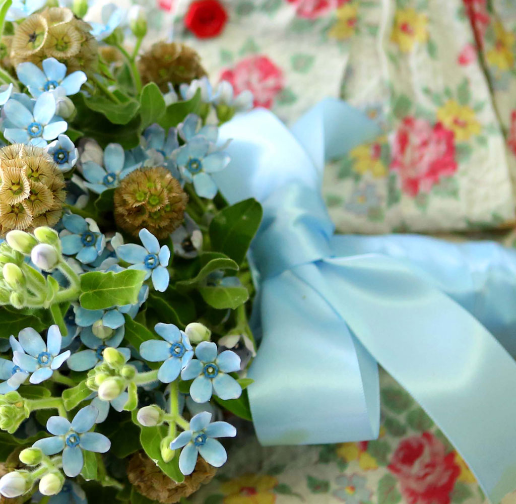 Yes it is Oxypetalum Bouquet