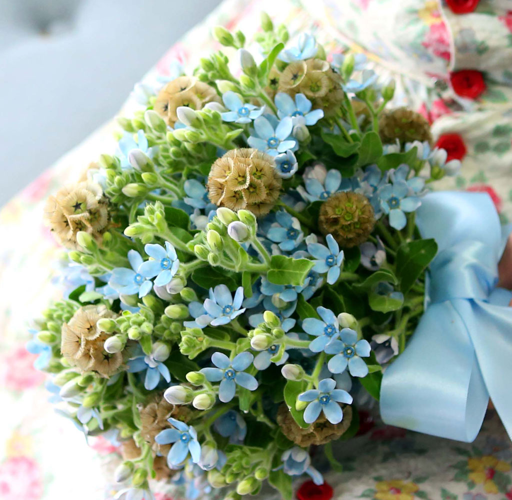 Yes it is Oxypetalum Bouquet
