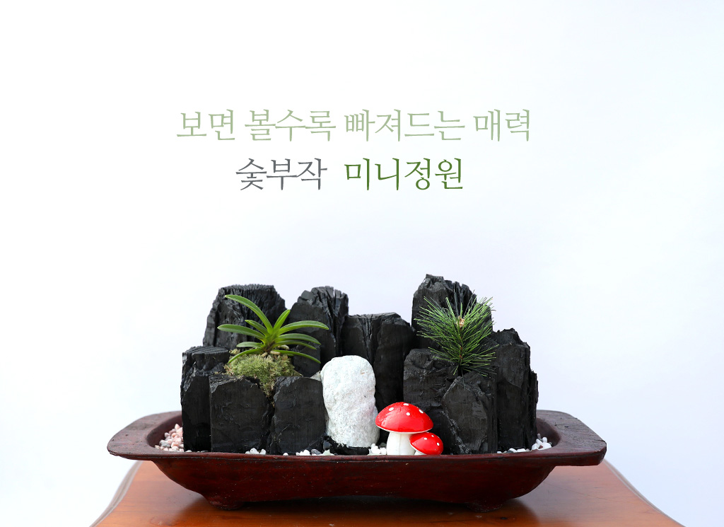 <div class="dd-small-t">보면 볼수록 빠져드는 매력</div>
<div class="dd-large-t">숯부작 미니정원</div>
<div class="dd-c">
화려한 매력은 없지만
자연을 보는 듯 편안하고 맑아지는
숯부작 미니정원이예요</div>