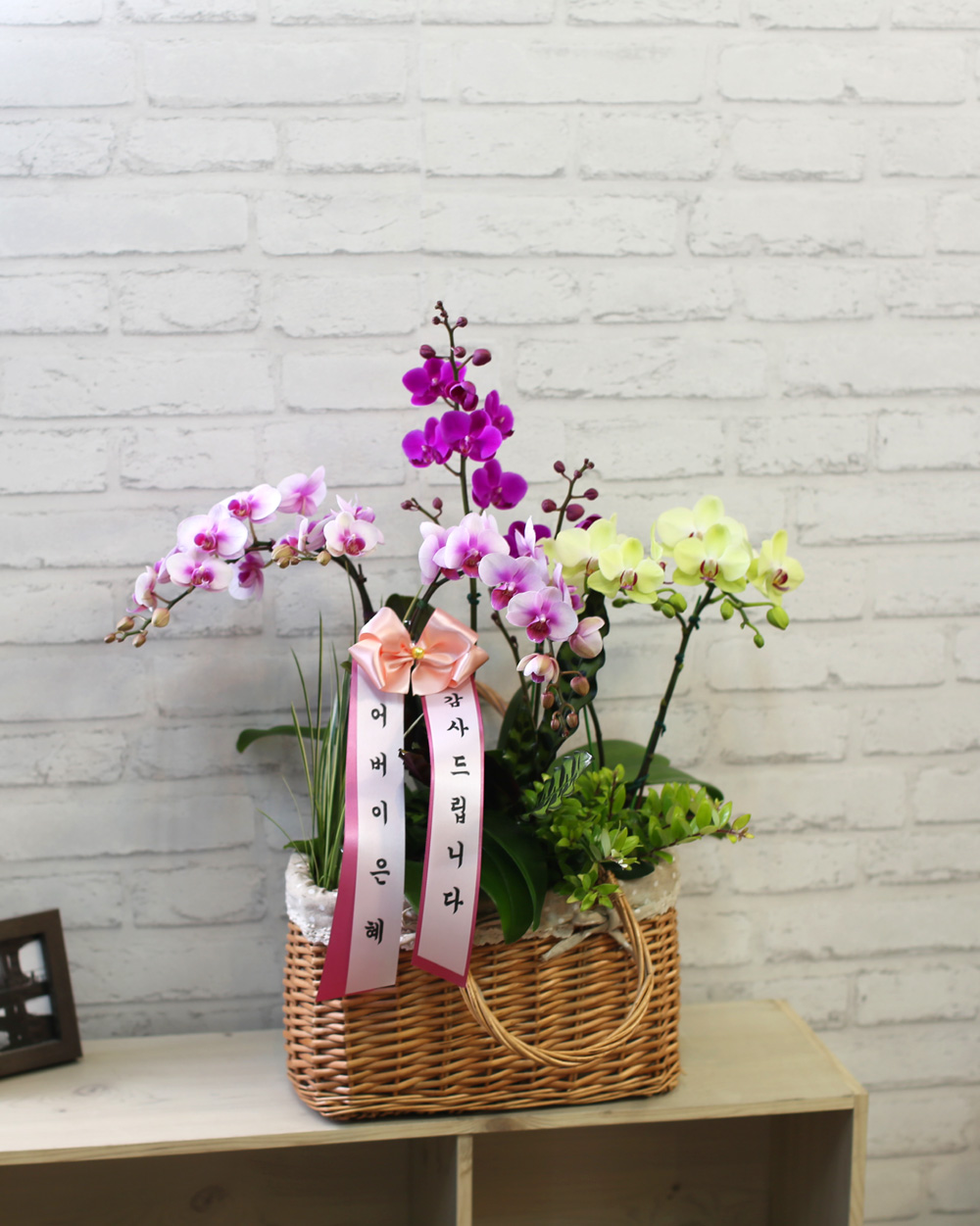 서양란 바스켓 - 꽃을 오래 볼수 있는 고혹적인 3색조 서양란