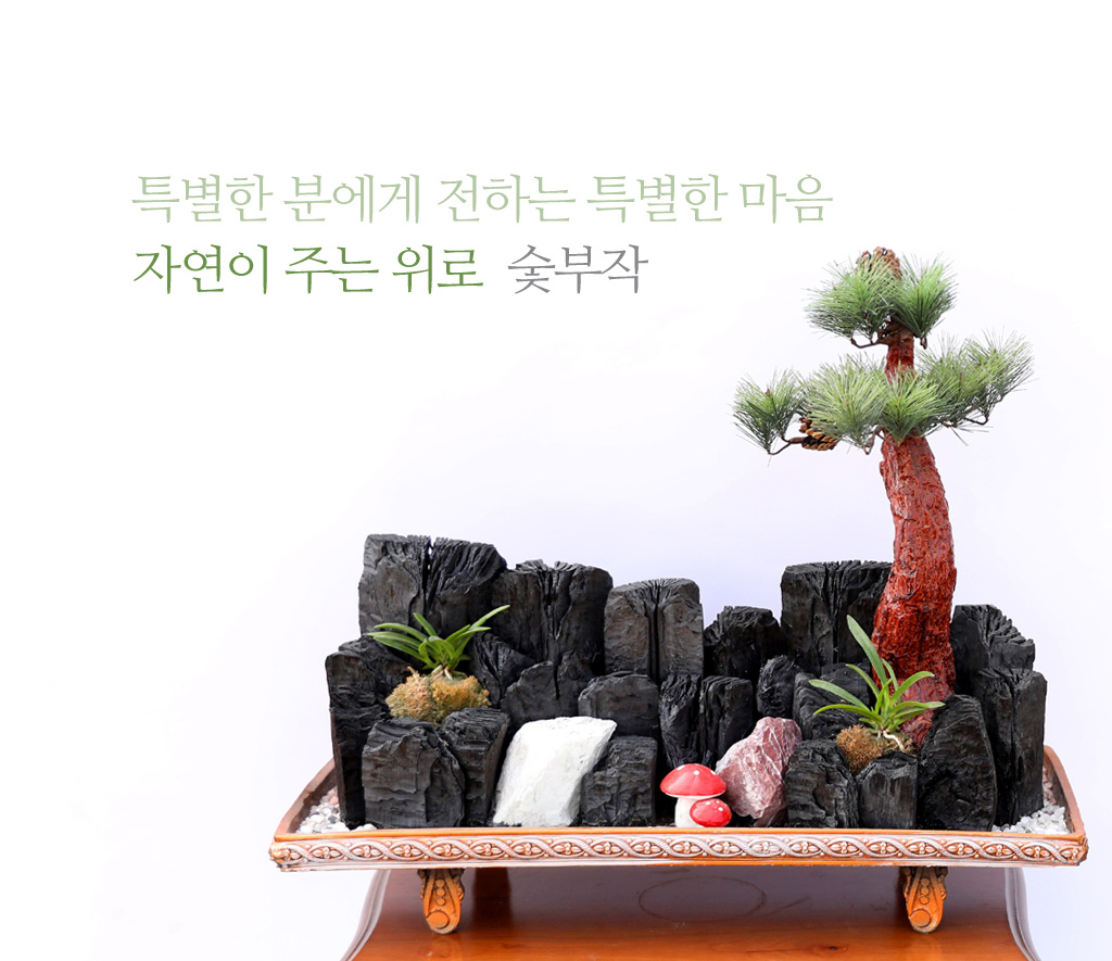 <div class="dd-small-t">특별한 분에게 전하는 특별한 마음</div>
<div class="dd-large-t">자연이 주는 위로 숯부작</div>
<div class="dd-c">
암석 위에 뿌리를 뻗고 고고하게 자라는 소나무
절벽에 붙어 힘차게 살아가는 우아한 자태의 풍란
거친 암석을 닮은 숯
모든 것이 어우러져 한폭의 산수화를 보는 듯해요</div>