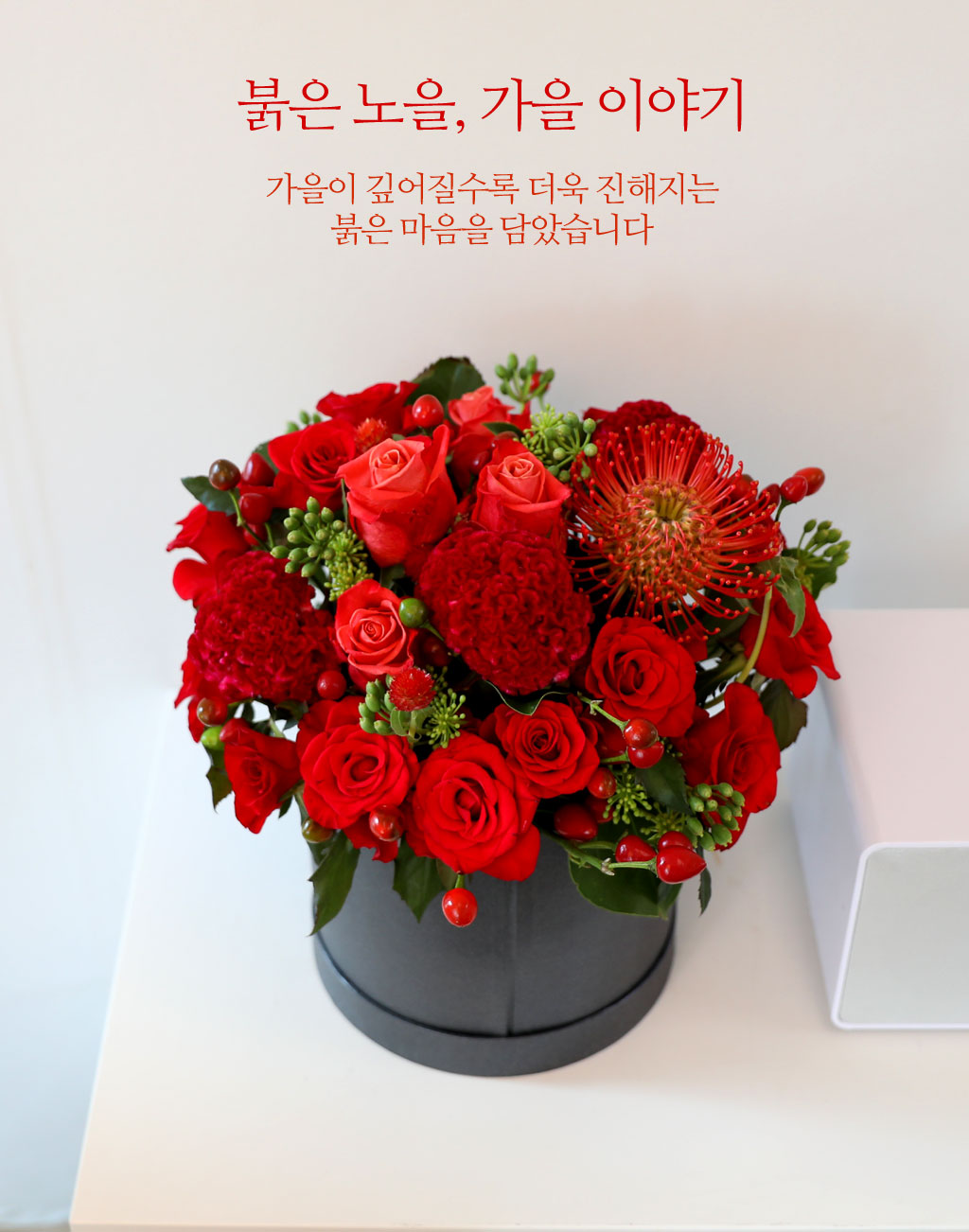 붉은 노을, 가을 이야기